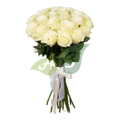 Белоснежные белые розы Эквадор