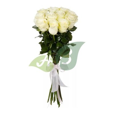 Белоснежные белые розы Эквадор