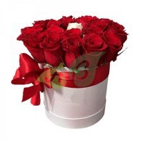 Букет из 25 белых роз в обрамлении красных