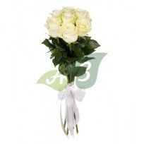 Белоснежные белые розы Мондиаль